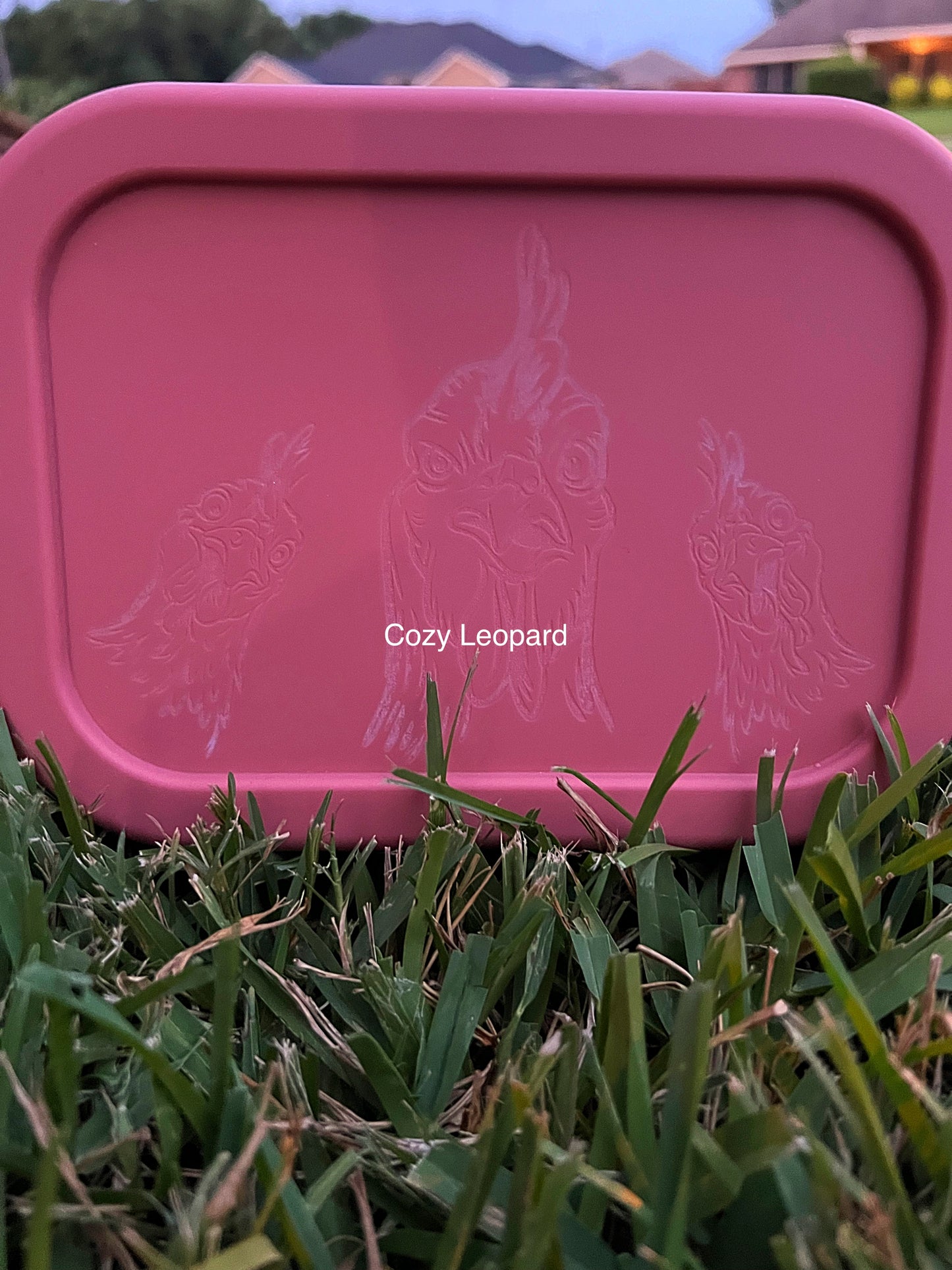 Engraved Silicone Bento Box