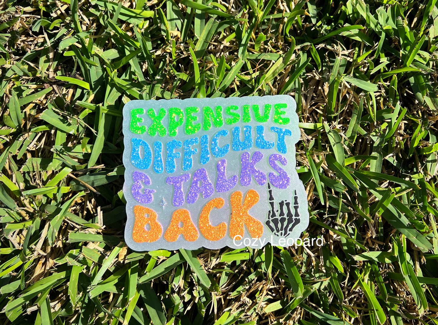 Expensive Difficult & Talks Back Car Freshie