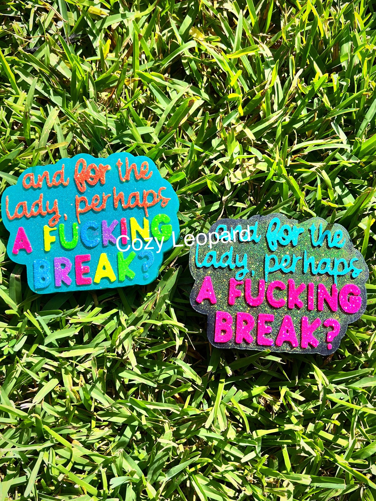 And For The Lady, Perhaps A Fucking Break Car Freshie